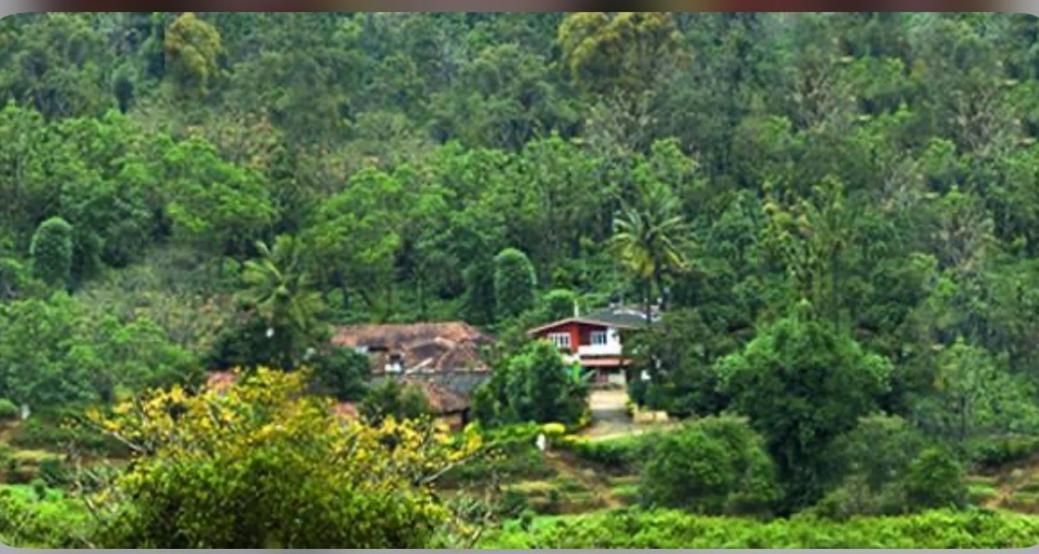 Coorg Naladi Holidays Kakkabe Exterior photo